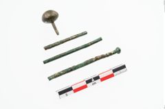 Foto von Bronzekugelkopfnadael (NHMW-PRAE-002245)